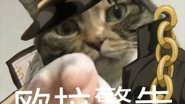 Newton: 6