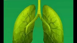 Send this to your best friend and ask them to test whether their lungs are healthy.