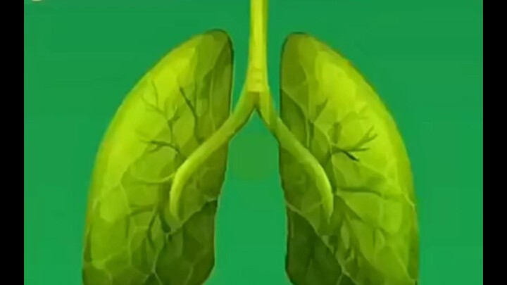 أرسلها إلى صديقك المقرب واطلب منه أن يختبر صحة رئتيه.