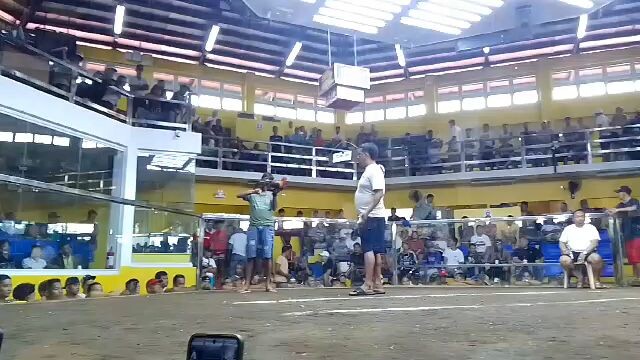 dec 24 3hits 1st ffight roundhead