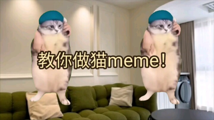 [Beginner Editing Tutorial] Step-by-Step Guide to Making Cat Meme Videos || Cat Memes || Source Mate