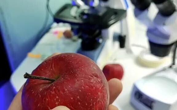 วิตามิน & โปรตีน ครบเครื่องในหนึ่งเดียว!