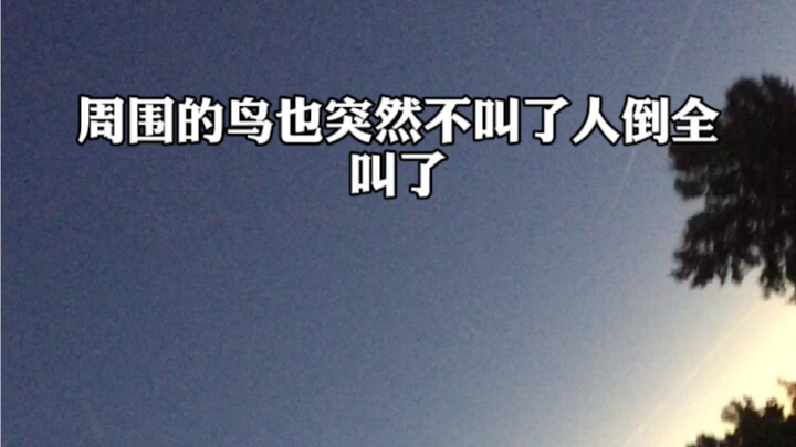 Rekaman Langsung Gerhana Matahari Total