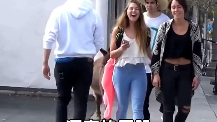 ล้อเลียนทีวี