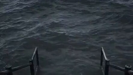 สัตว์น้อยน่ารักขนาดไหน!