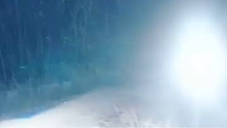 รักแรกของประธานฟู่