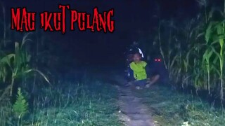 mau ikut pulang