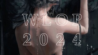 2024总结