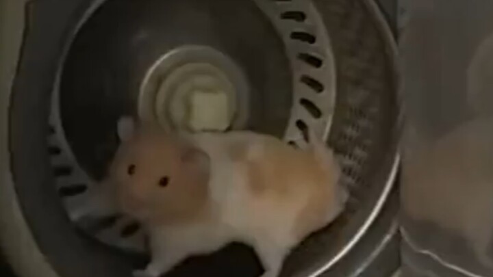 ยิ่งวิ่งยิ่งบวม