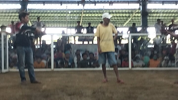 Dan gray Rh 2 hits champion(1)