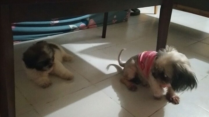 gusto ko dumede ka sa akin