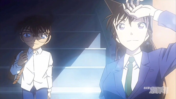 In front of Xinlan, all lives are equal.