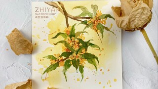 กระบวนการดอกไม้สีน้ำ·ฤดูใบไม้ร่วงหอมทอง Osmanthus | การแบ่งปันบทช่วยสอน Osmanthus