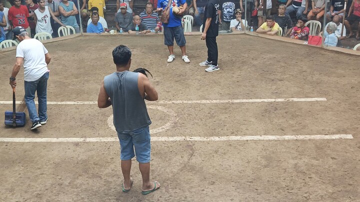 2 Hits first fight using my signature line grey