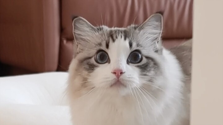 Cậu chỉ chơi với tớ thế thôi à?