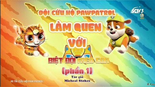 Đội chó cứu hộ Paw Patrol Mùa 9 Tập 2 Làm Quen Với Biệt Đội Mèo Con [LỒNG TIẾNG] Nguồn: SCTV3-SEETV