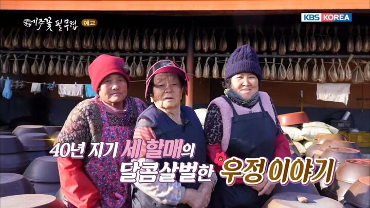 《메주꽃 필무렵》 예고 (When The Meju Flowers Bloom)