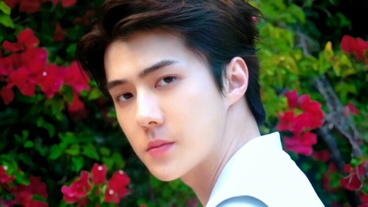 Recommendation: [EXO | Stunning MV Shots] — even non-fans will be amazed!