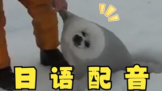 Con dấu kỳ lạ, nhưng là phiên bản tiếng Nhật