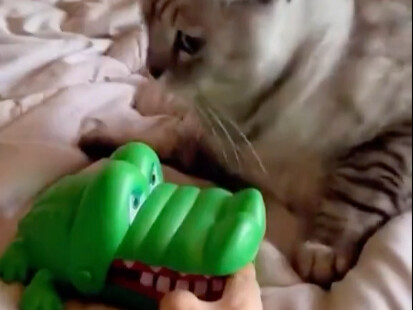 Siapa yang menemukan benda kecil ini?