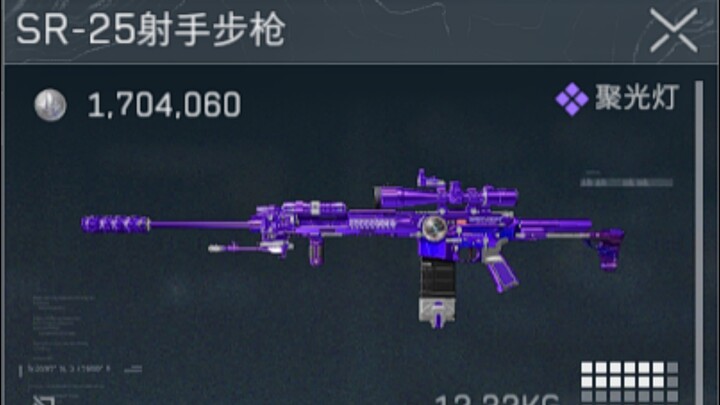 How does the fully modded SR25 with 1.7 million points perform in实战?