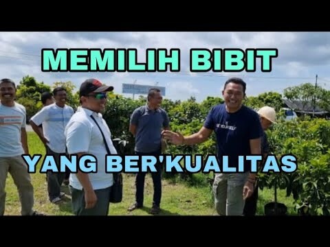 MEMILIH BIBIT YANG BER KUALITAS