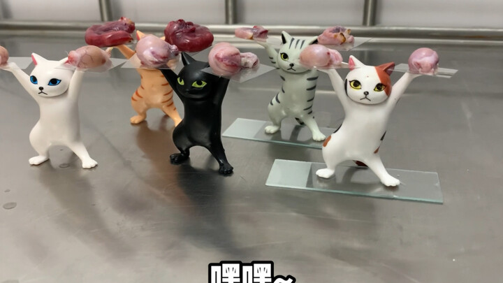 Who says pets don’t have their own 520?