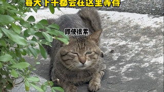 Những ngày gần đây tôi đều nhìn thấy hết, tôi thực sự không chịu nổi nữa rồi.