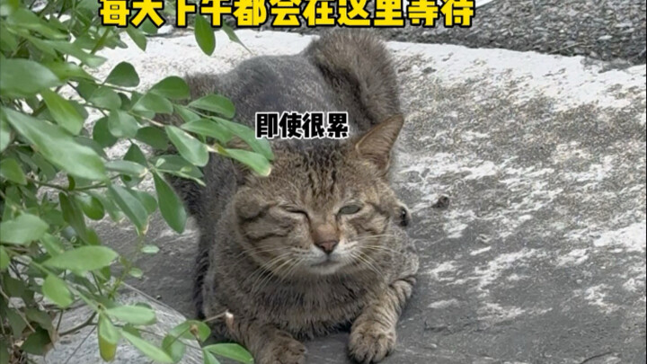 Hari-hari belakangan ini semuanya terlihat jelas di mataku, aku benar-benar tidak tahan lagi.