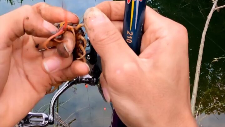 What kind of bait do you all use for fishing?