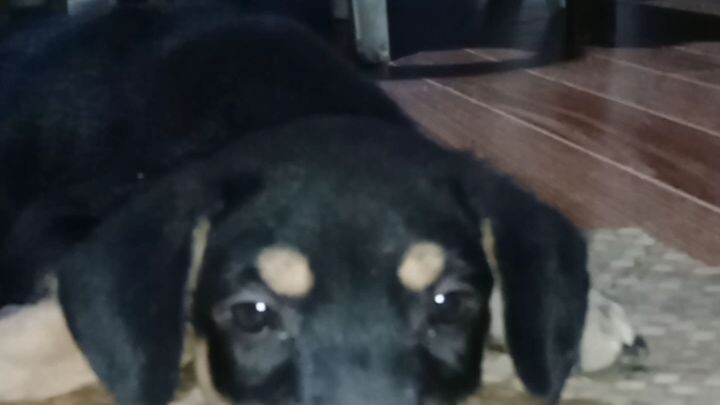 our machu