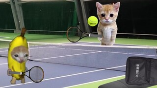 قطة الموز ودمية دو تلعبان التنس، ودمية دو تستخدم حركتها السرية!