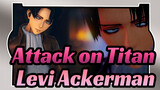 Attack on Titan|【MMD】Masked bitcH - Levi Ackerman (Collab with Haru)