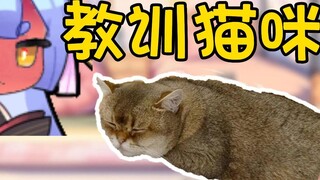 【Azi】Reincarnated as a good boy🐱 and was scolded by Zibao for one minute (gritted teeth version)