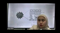 BIOLOGI F5 STRUKTUR DAN FUNGSI DAUN
