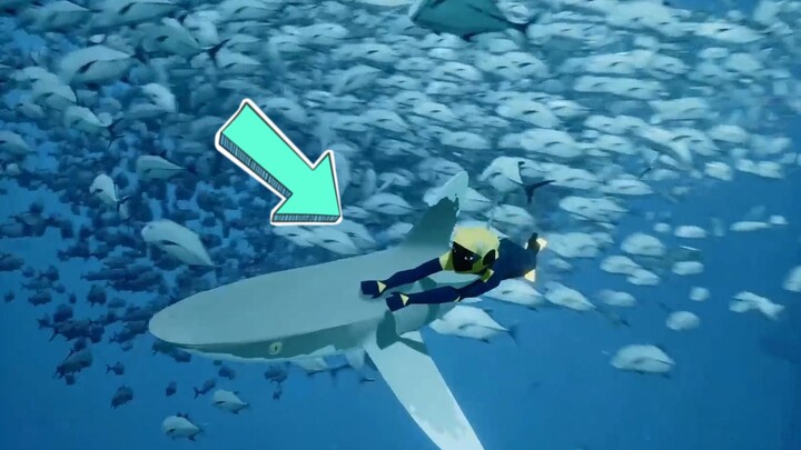 Cảm ơn trò chơi này, nó đã chữa lành nỗi sợ biển sâu dai dẳng nhiều năm của tôi!