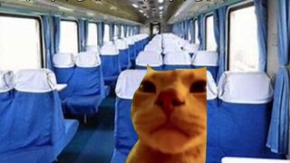 [cat meme] Khi tôi tỉnh dậy, một nhóm bác sĩ tụ tập quanh giường tôi...