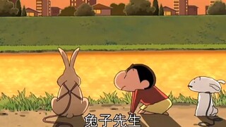 "Xiaoxin, tôi không giỏi lắm, nhưng tôi có thể giao tiếp với động vật nhỏ."