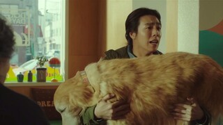 Dog Days 2024 - Movie English Subtitles