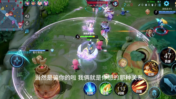 The Unforgettable Story of Pineapple Head and the Wild Mule