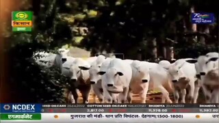 Station Id DD Kisan 🇮🇳