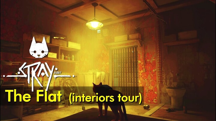 The Flat (interiors tour) | Stray