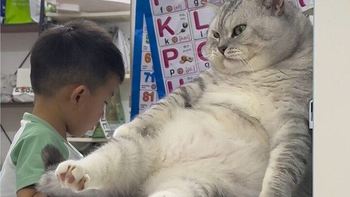 Em trai vừa tan học về là ngồi vào bàn học, Đại Tráng cũng lên bàn ngồi luôn.