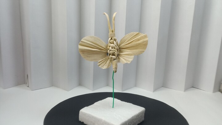 How to Make a Butterfly from Corn Husks | Easy Nature Craft Tutorial