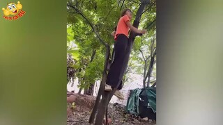 Xuống đây đã em ơi đừng trèo lên cao thế