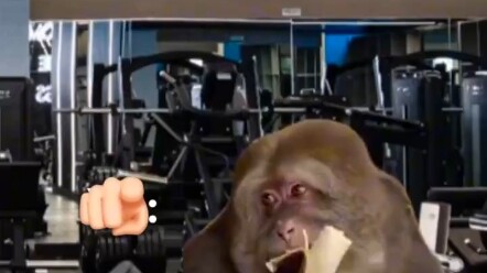 Anh em tập gym xong