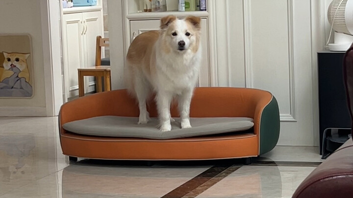 I’m both心疼 and furious—she even went out of her way to tie up the bag and stash it in the drawer fir