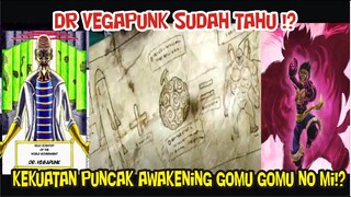 DR VEGAPUNK SUDAH TAHU AWAKENING GOMU GOMU NO MI !?