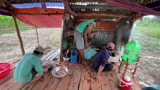 GÀ ĐI BỘ XÀO XẢ ỚT CÙNG RAU MUỐNG ĐỒNG - TT211