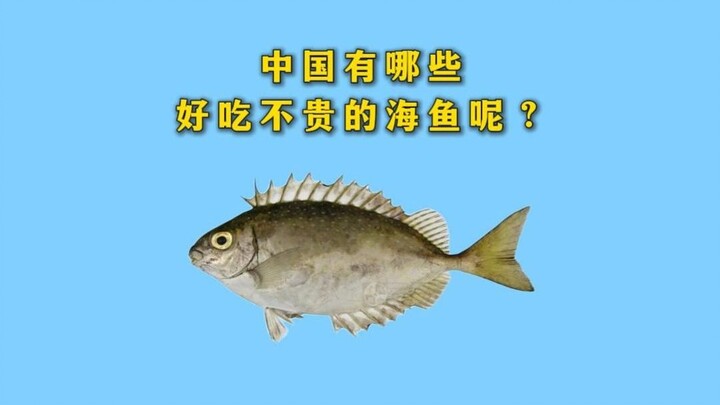 Trung Quốc có những loại cá biển nào vừa ngon lại vừa rẻ?